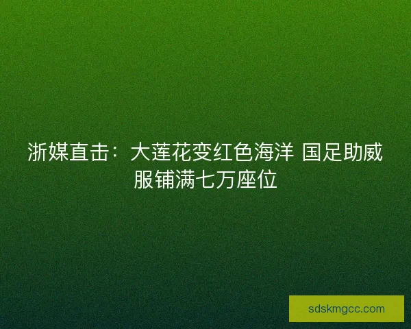 浙媒直击：大莲花变红色海洋 国足助威服铺满七万座位