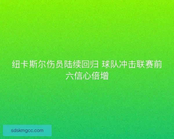 纽卡斯尔伤员陆续回归 球队冲击联赛前六信心倍增 纽卡斯尔伤员陆续回归 球队冲击联赛前六信心倍增